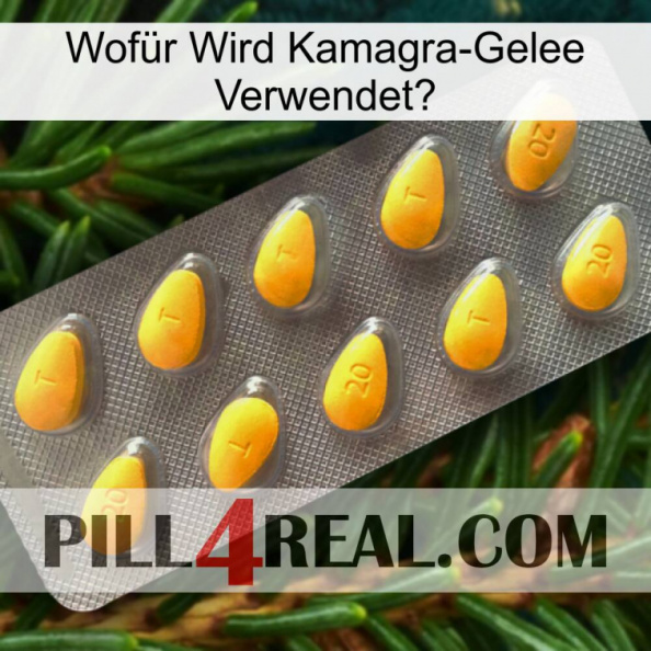 Wofür Wird Kamagra-Gelee Verwendetl cialis1